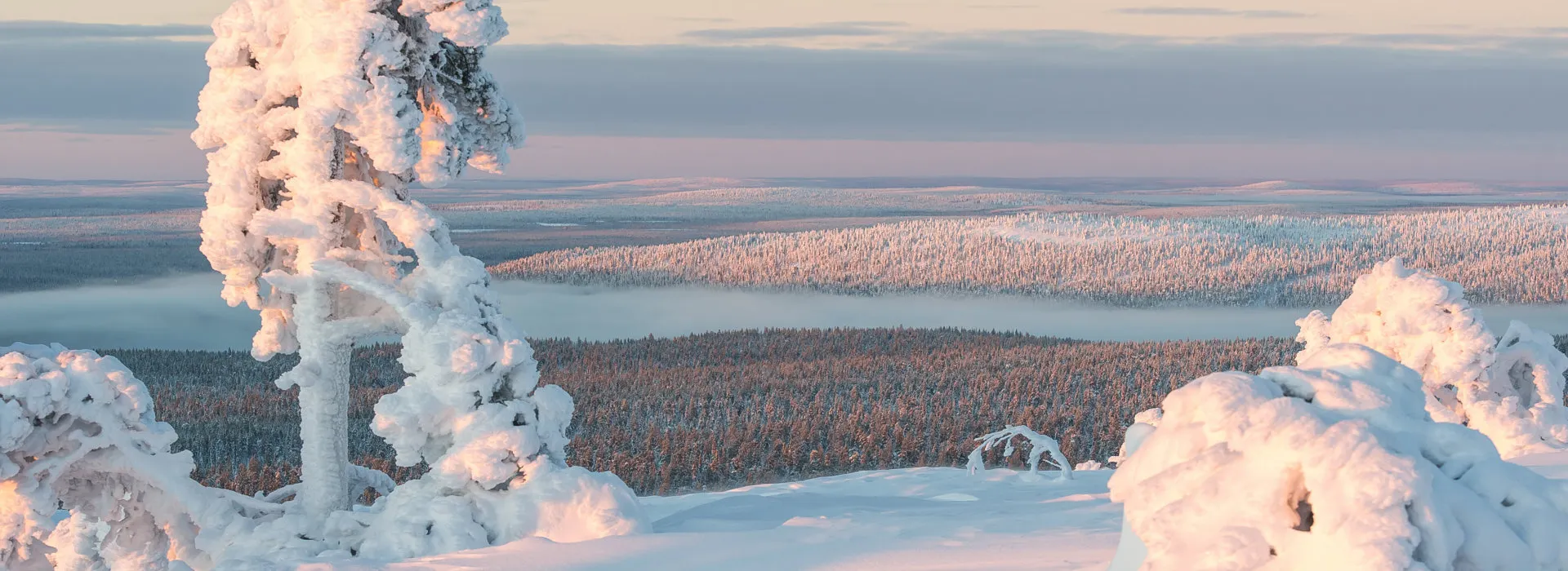 Verschneite Landschaft in Finnisch Lappland