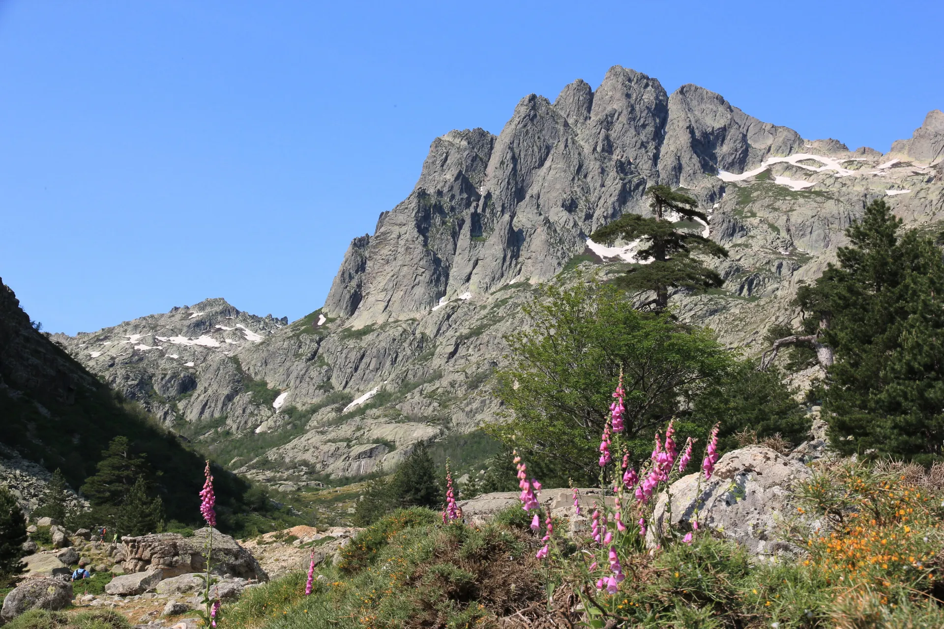 Traumhaftes Bergpanorama