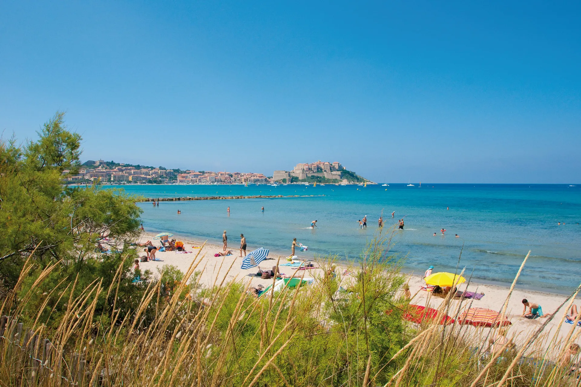 Strand von Calvi