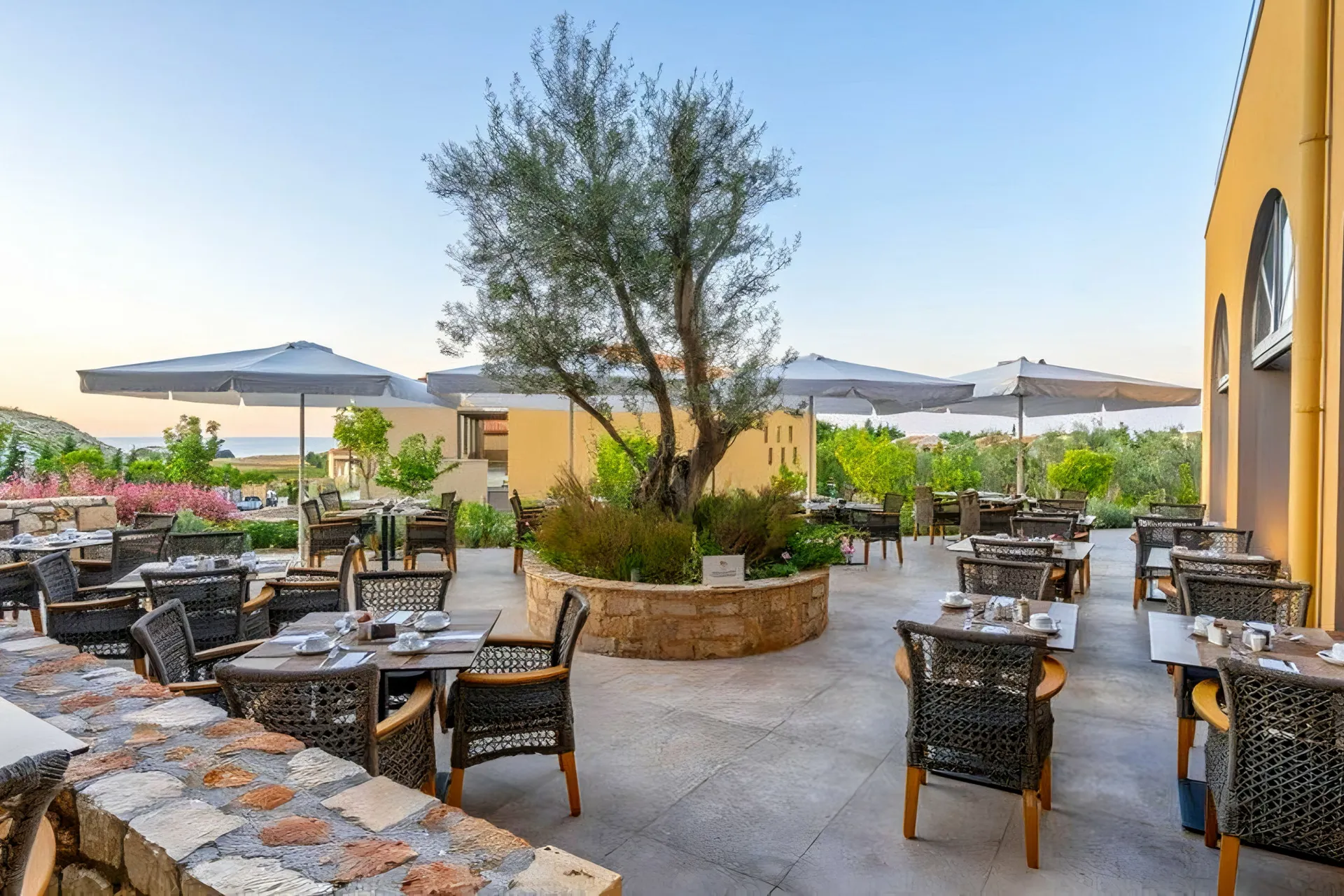 Hotel Apollonion Asterias Resort  Spa