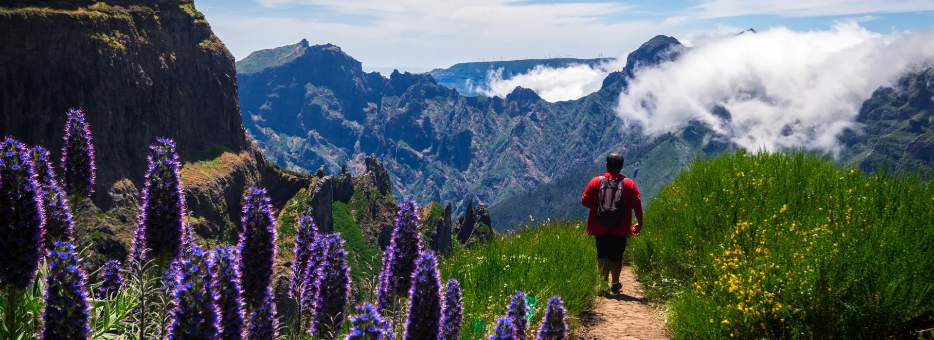 Berglandschaft mit Blumen in Madeira