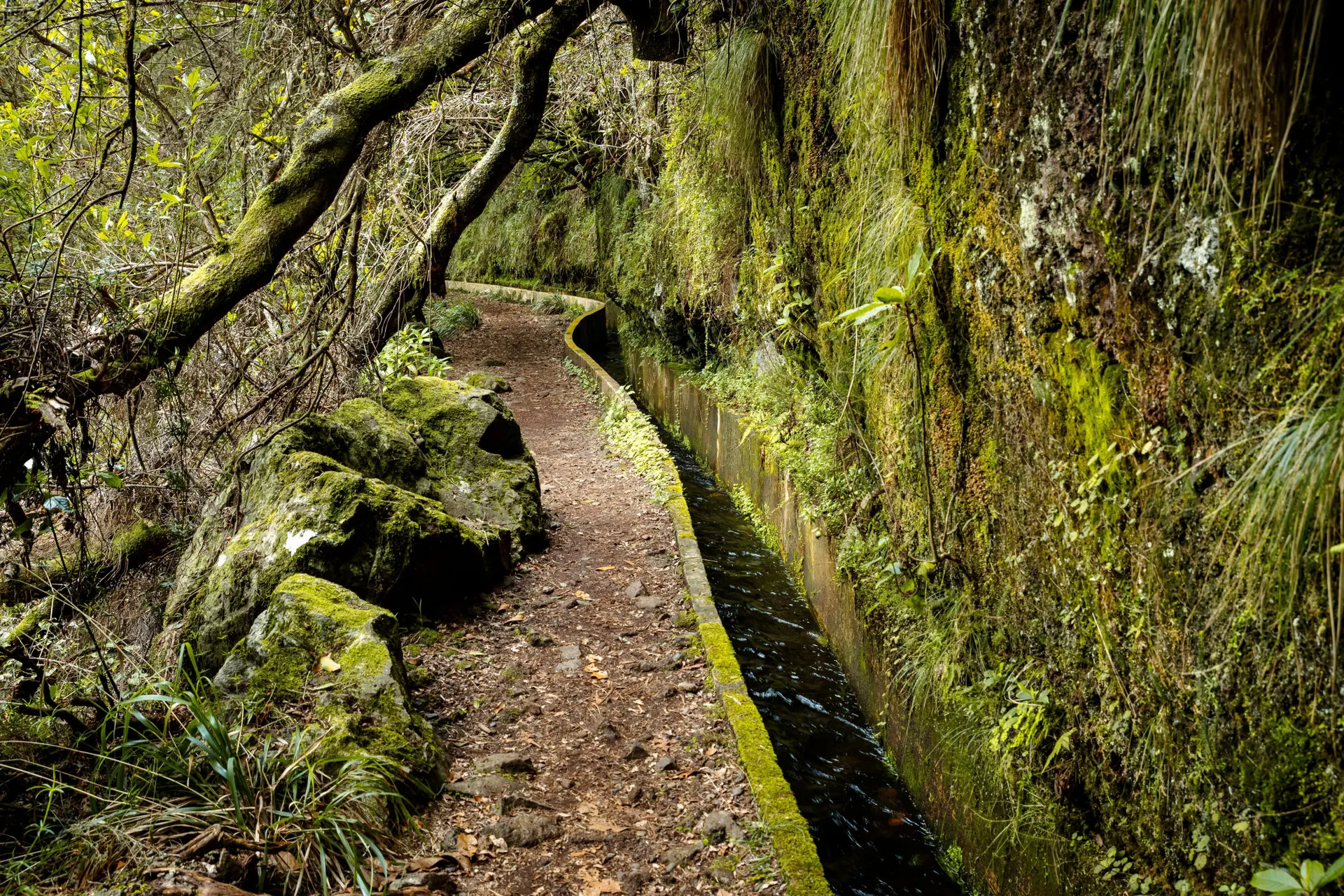 Der Levada Trek - Levada do Furado