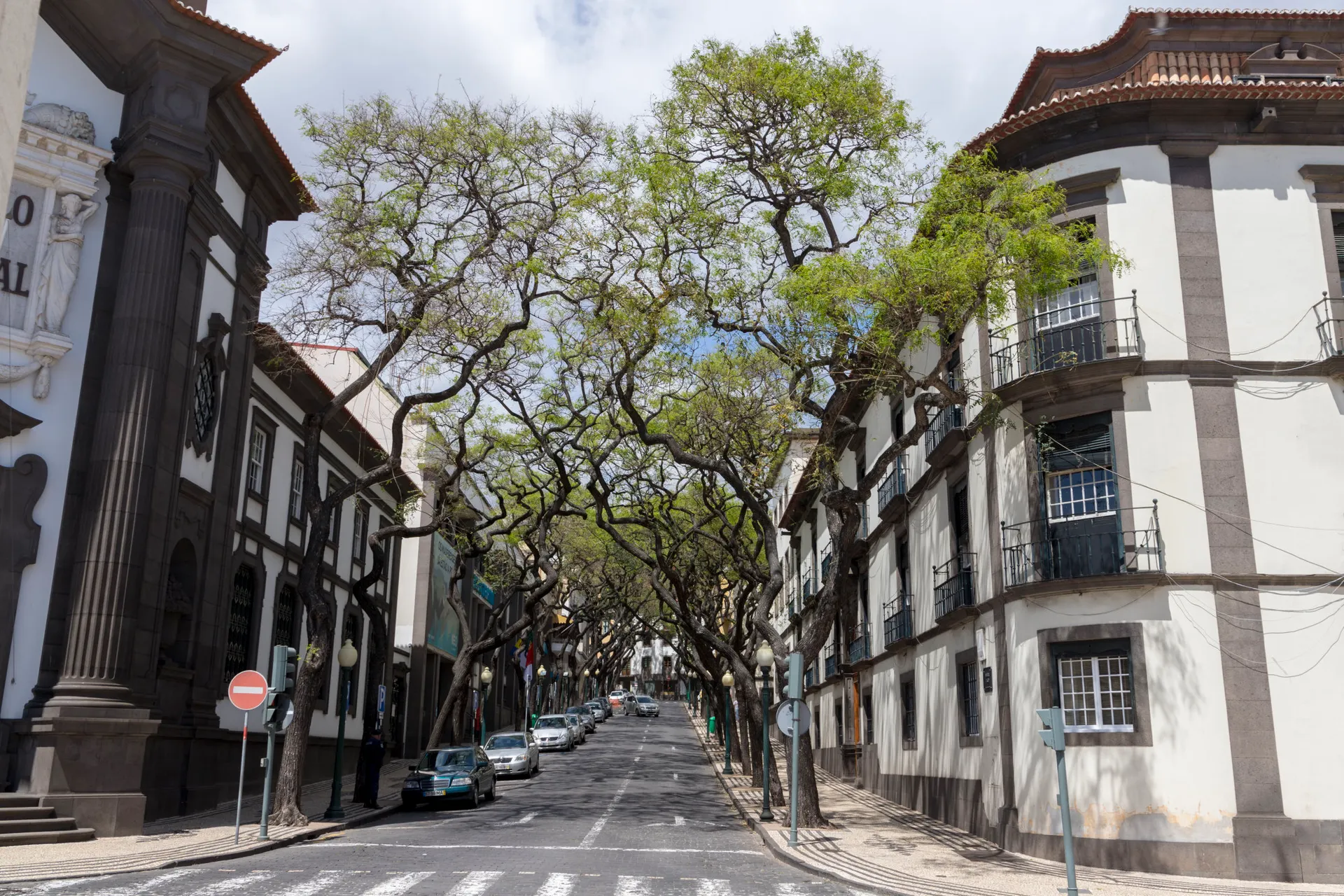 <p>PIM, Madeira, Straße (UPLOAD_ANER)</p>