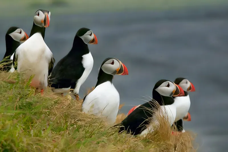 Rundreise "Reise zu Vulkanen & heißen Quellen"
