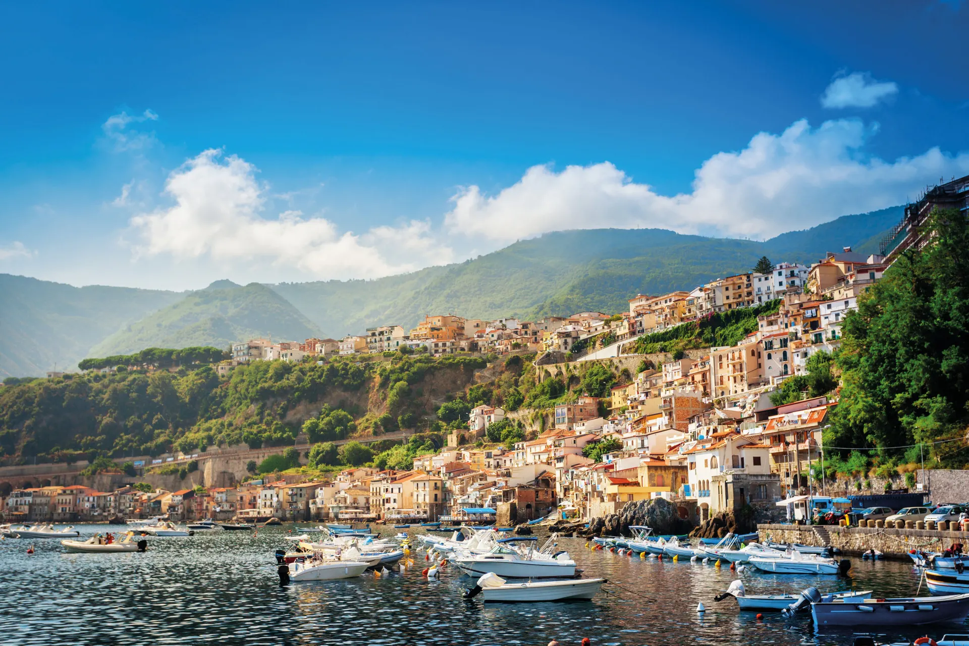 Scilla