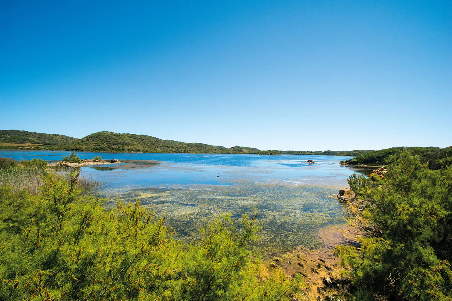 <p>Menorca, Meer, Fauna &amp; Flora (UPLOAD_ANER)</p>