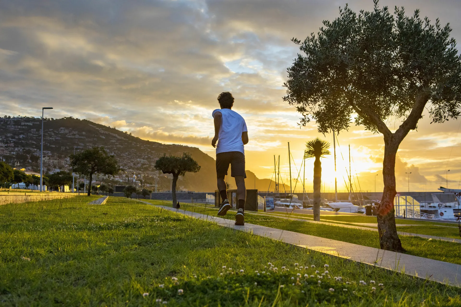 <p>Region Funchal, Trail Running, Funchal (UPLOAD_ANER)</p>