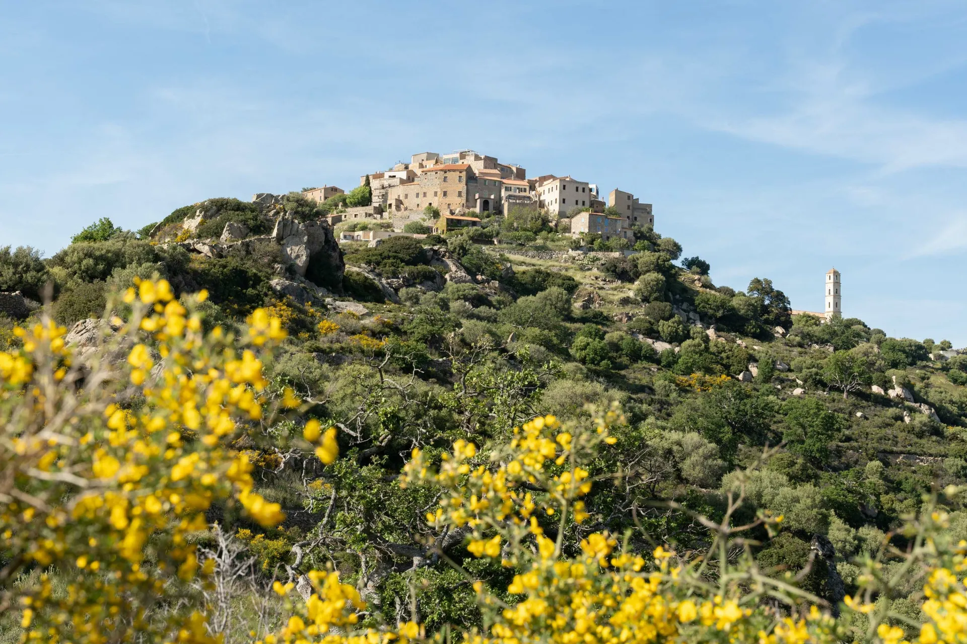 Balagnedorf Sant'Antonino