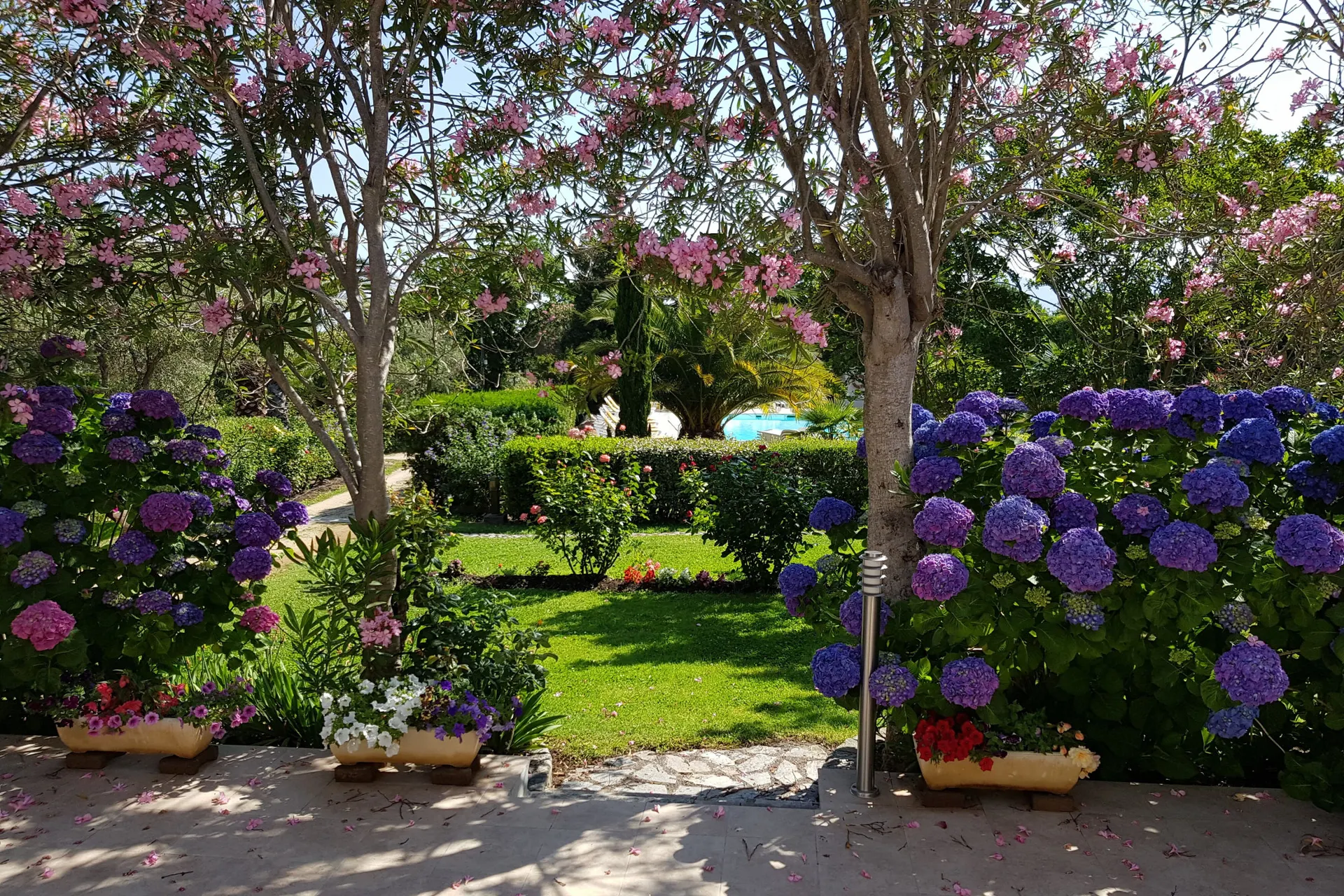 Ferienwohnung Casa Oleanda - Villa Lila