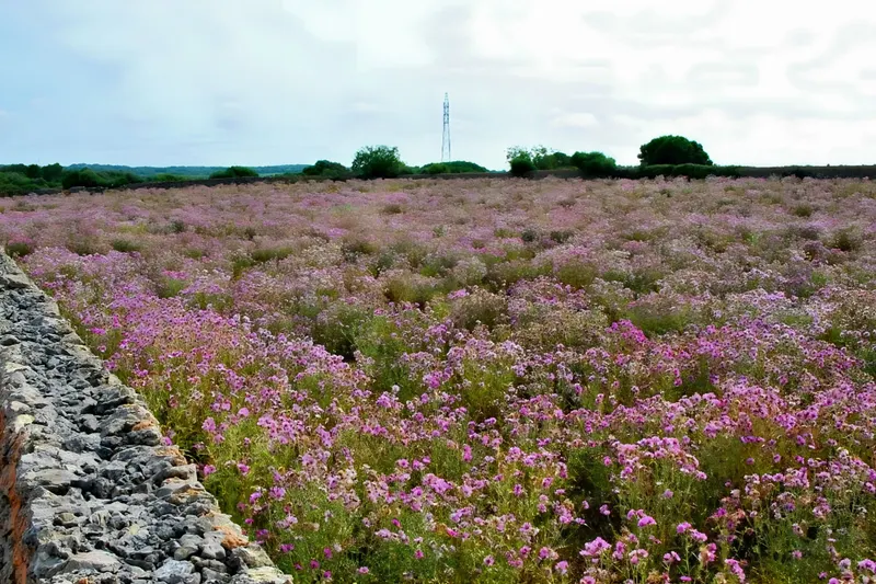 Individuelle Wanderreise Menorca