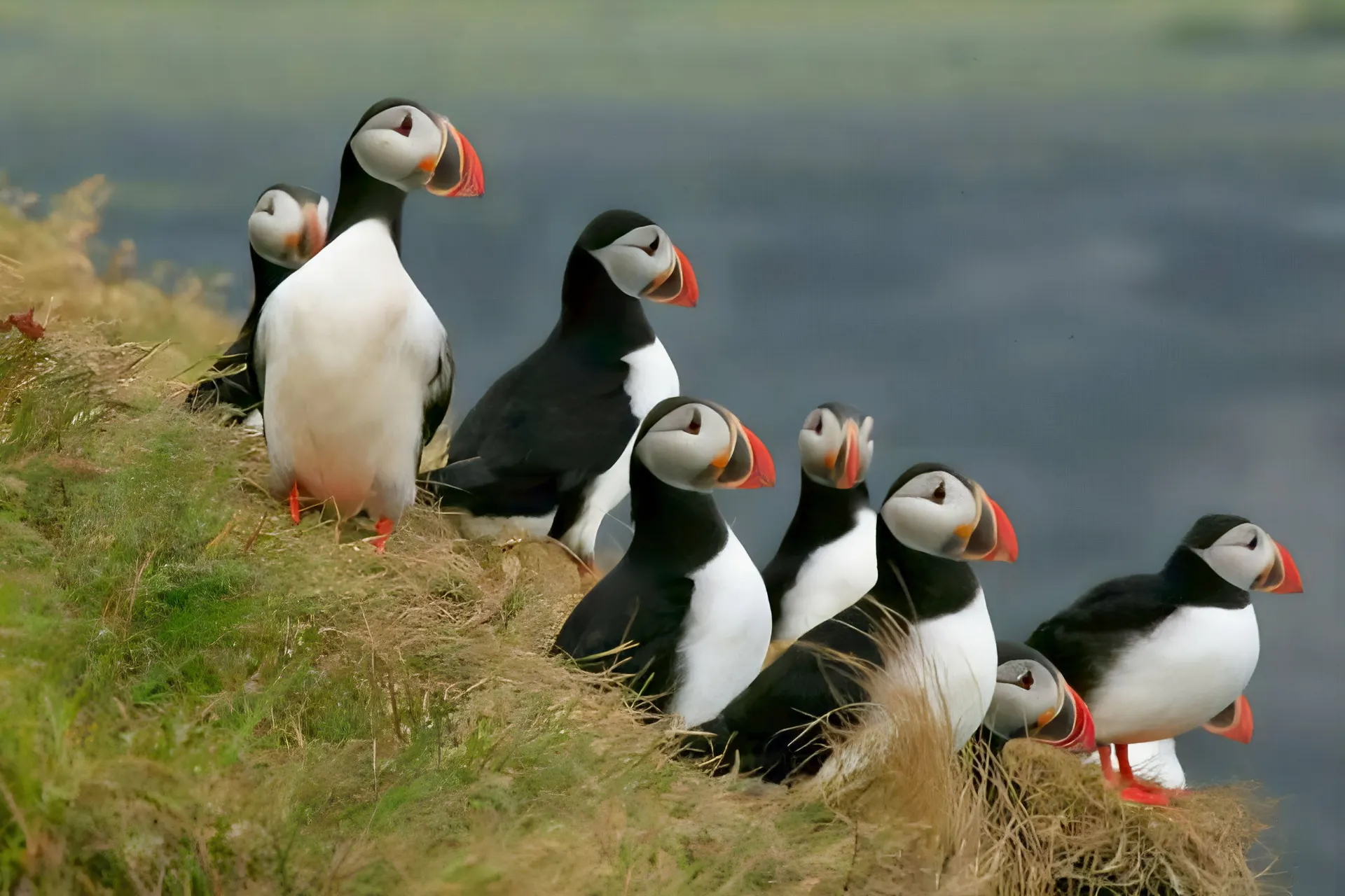 Rundreise "Von Hütte zu Hütte"