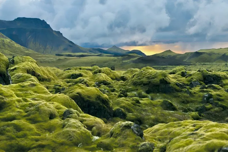Rundreise "Mit dem Elektroauto unterwegs"