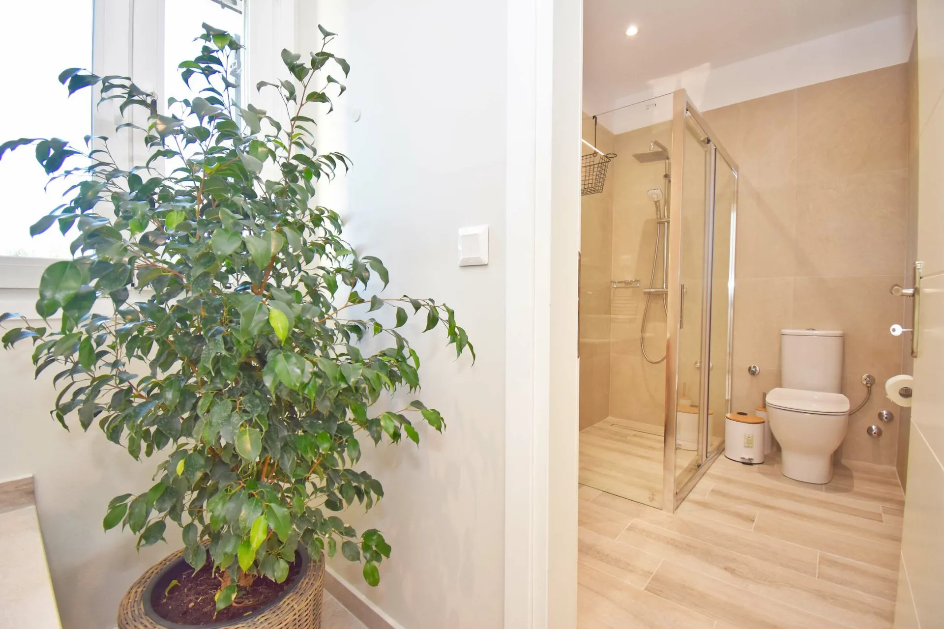 Villa Caesar - 3-Zimmer Appartement