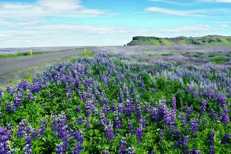 Rundreise "Island Kompakt"