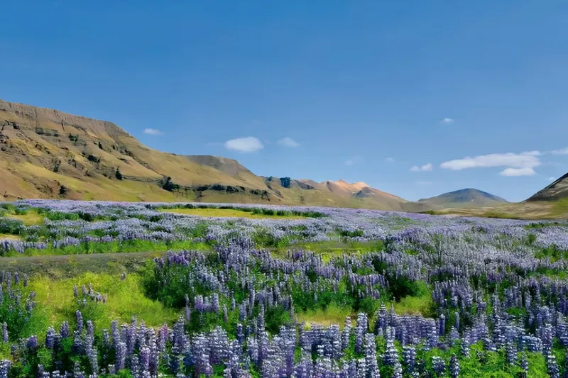 Rundreise "Island Intensiv"